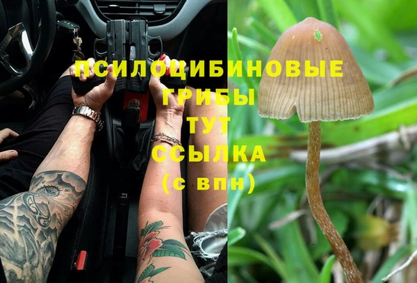 a pvp Елизово