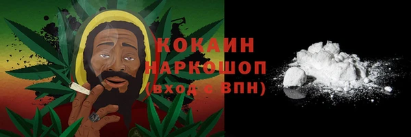 a pvp Ельня