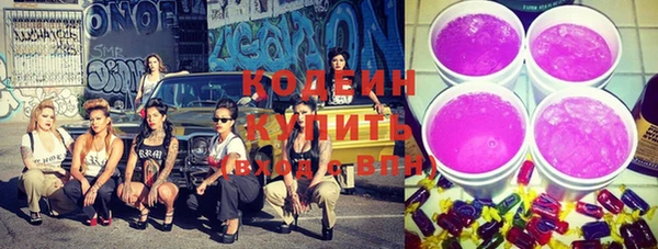 a pvp Ельня