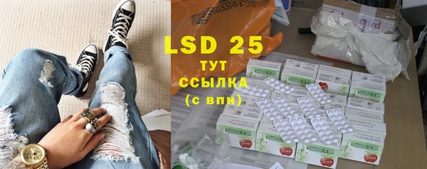 ешки Елабуга