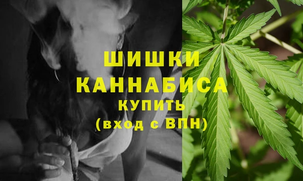 a pvp Ельня