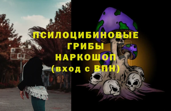 ALPHA-PVP Чердынь